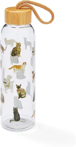500ml Glass Water Bottle | Eco Friendly Glass Bottle With Lid & Carry Handle | Glass Bottles For Office, Sports or On The Go - Curious Cats