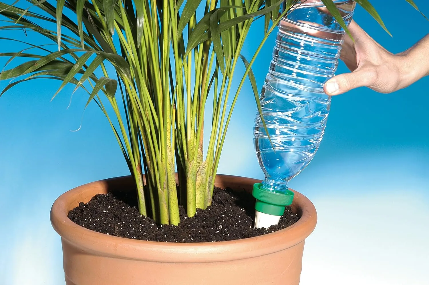 Aquasolo 10420 4 Watering Cones Medium Green