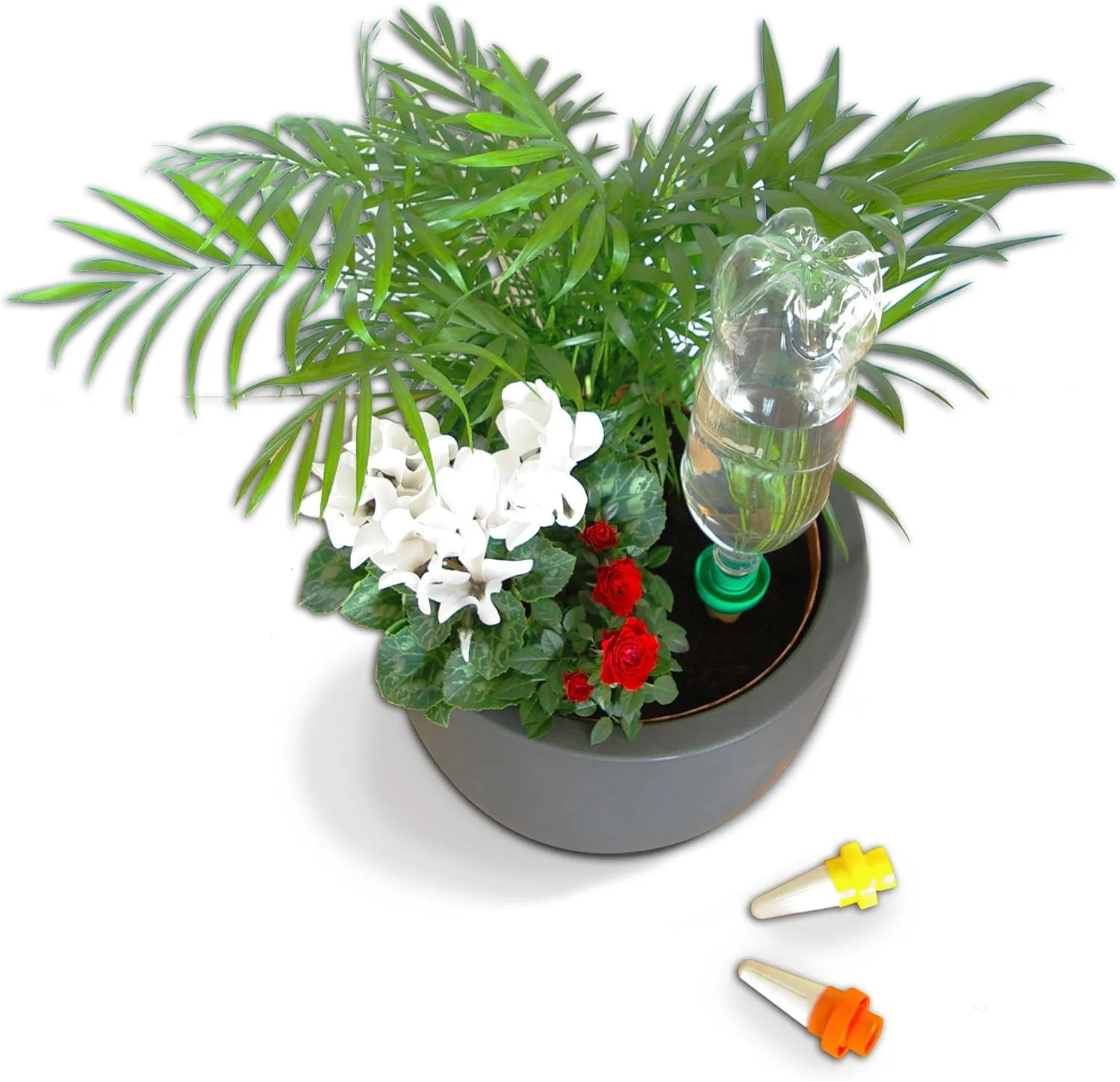 Aquasolo 10420 4 Watering Cones Medium Green