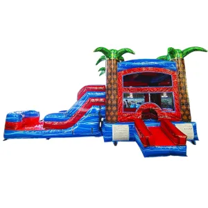 Baja Palms Econo Bounce House with Slide (Wet/Dry)