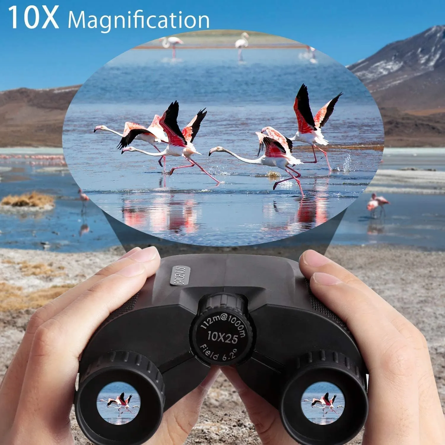 Compact High Powered Binoculars for Adults with Low Light Night Vision, Easy Focus for Bird Watching, Outdoor Sports, Concerts