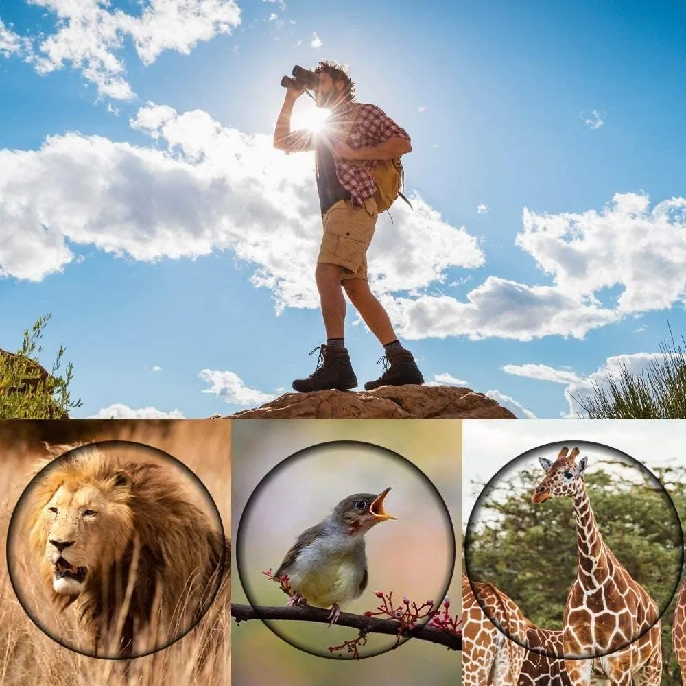 Compact High Powered Binoculars for Adults with Low Light Night Vision, Easy Focus for Bird Watching, Outdoor Sports, Concerts