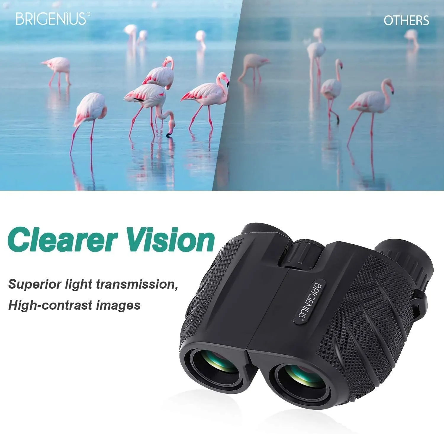 Compact High Powered Binoculars for Adults with Low Light Night Vision, Easy Focus for Bird Watching, Outdoor Sports, Concerts