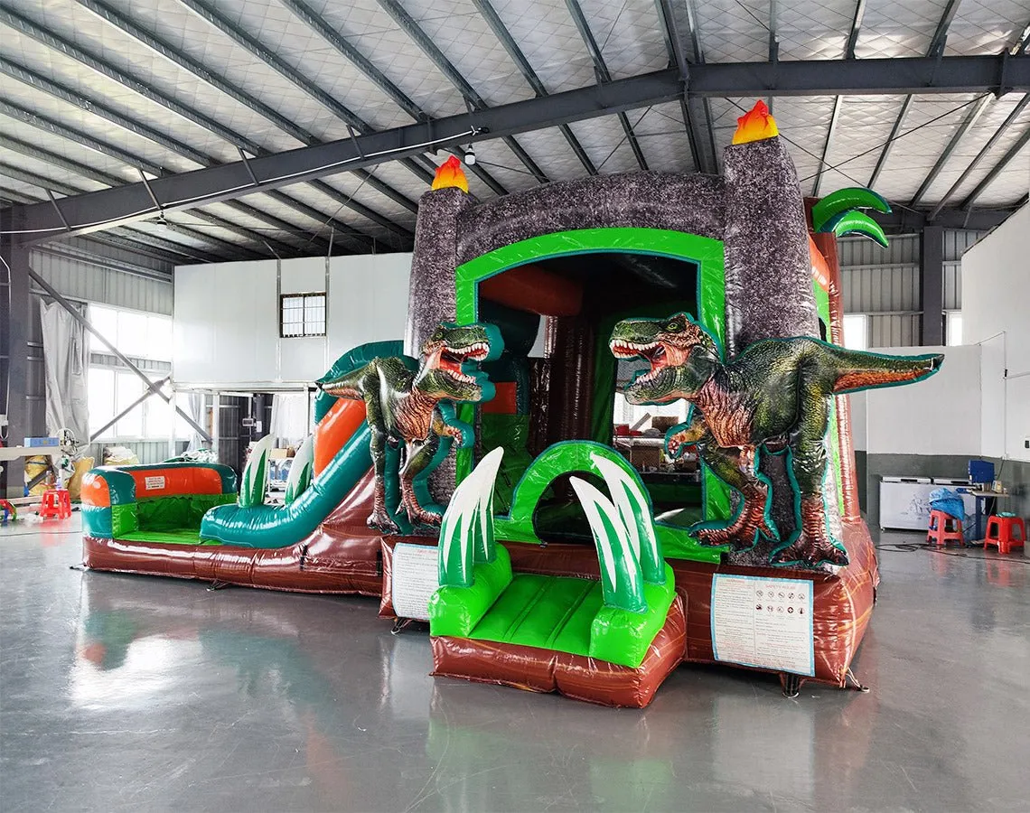 Dino Dive Econo Bounce House with Slide (Wet/Dry)