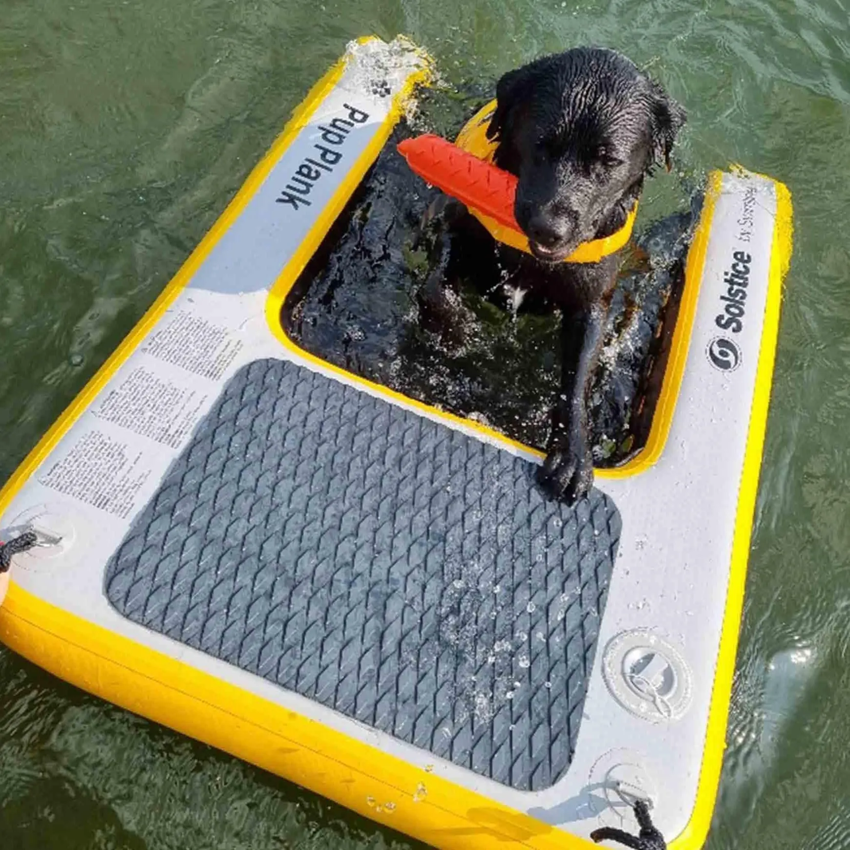 Inflatable Pup Planks