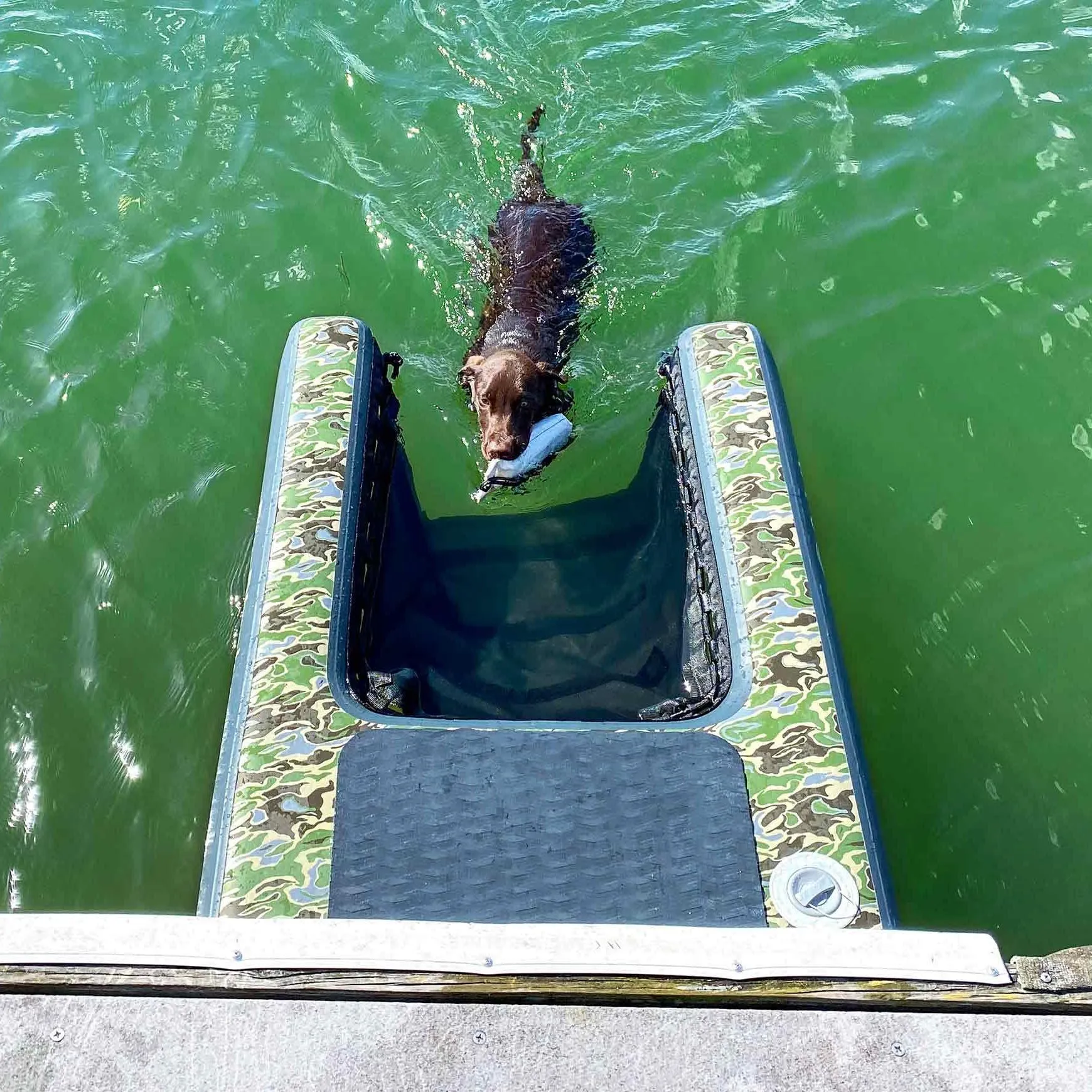 Inflatable Pup Planks