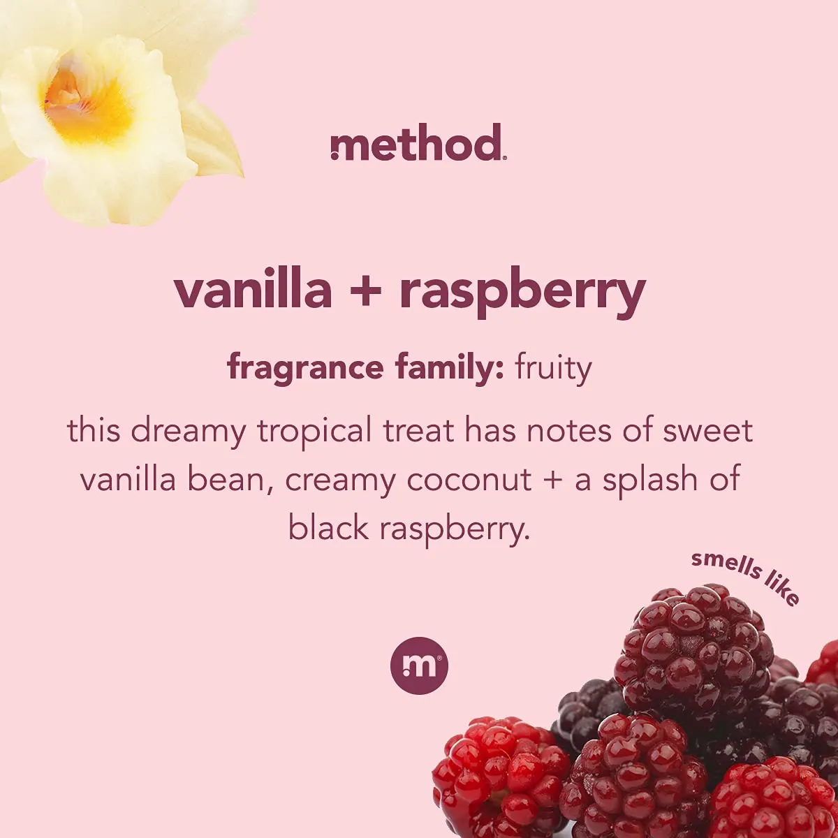 Method Premium Foaming Hand Wash Refill, Vanilla   Raspberry, Recyclable Bottles, Biodegradable Formula, 28 fl oz (Pack of 4) (Packaging May Vary)