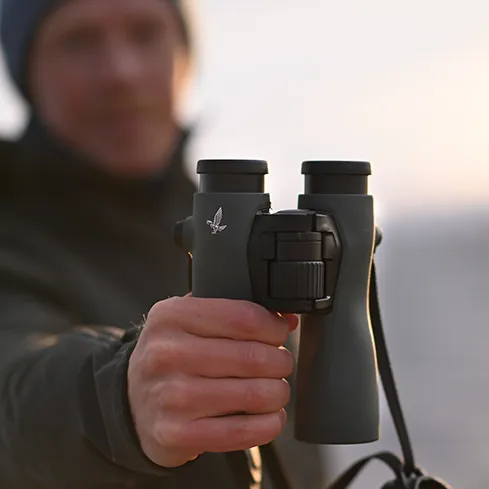 Swarovski NL Pure 8x42 Binoculars